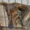 Rania W Valcea 2